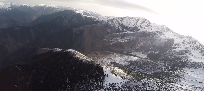 video imagini dezastruoase din munții făgăraș - păduri tăiate în totalitate pe zeci de hectare