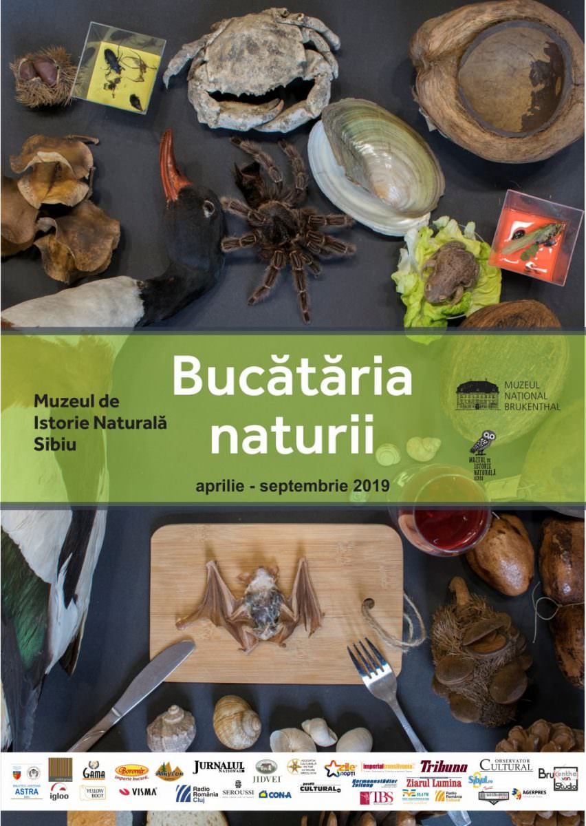 Ce gust are supa din sânge de rață – Aflați la expoziția „Bucătăria naturii” la Sibiu