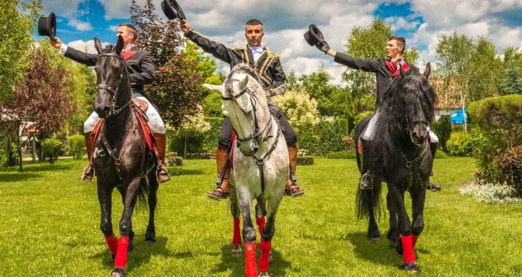 cai de rasă, spectacole de acrobatică ecvestră și muzică bună la cea de a doua ediție dracula horse festival