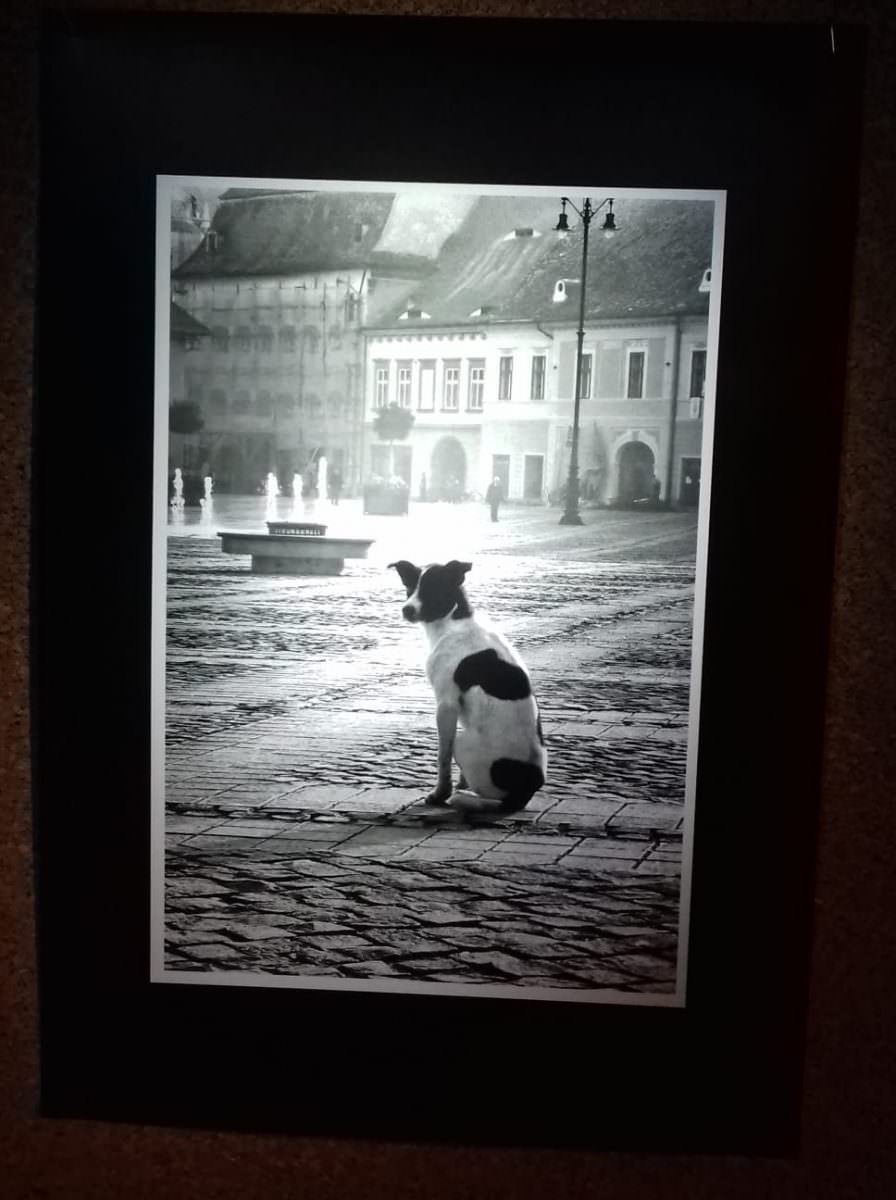 foto mărturia unui francez îndrăgostit de sibiu - "înainte era trist, acum e plin de culori"