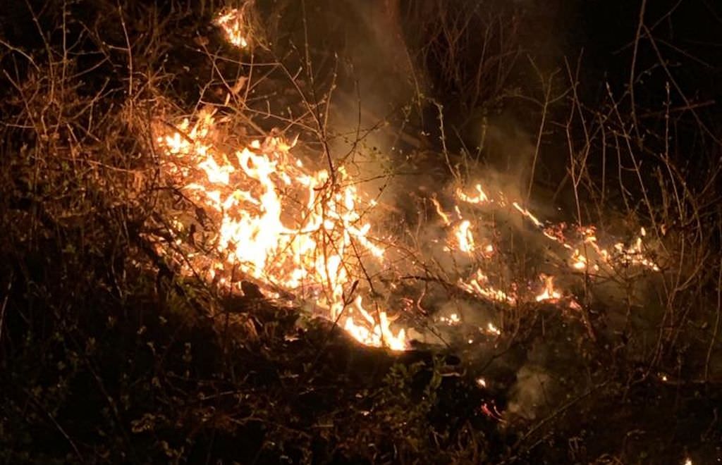 foto incendiu în pădure la buia - șase hectare au ars