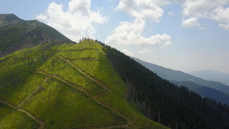 video imagini dezastruoase din munții făgăraș - păduri tăiate în totalitate pe zeci de hectare