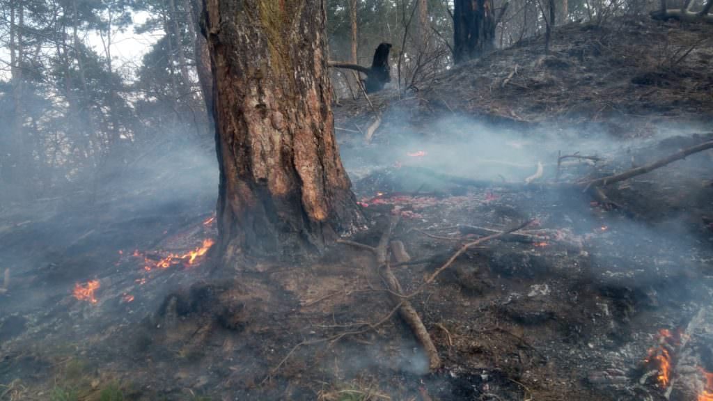 foto incendiul de la mălâncrav a fost lichidat - pompierii s-au luptat aproape trei zile cu flăcările