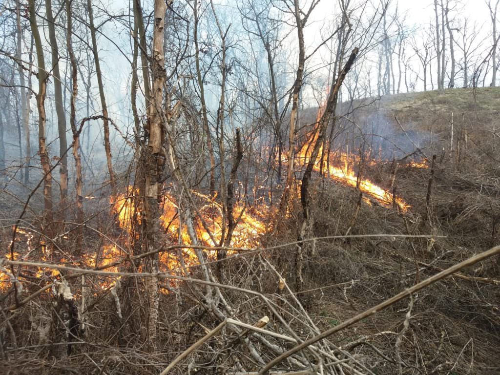 foto incendiul de la mălâncrav a fost lichidat - pompierii s-au luptat aproape trei zile cu flăcările