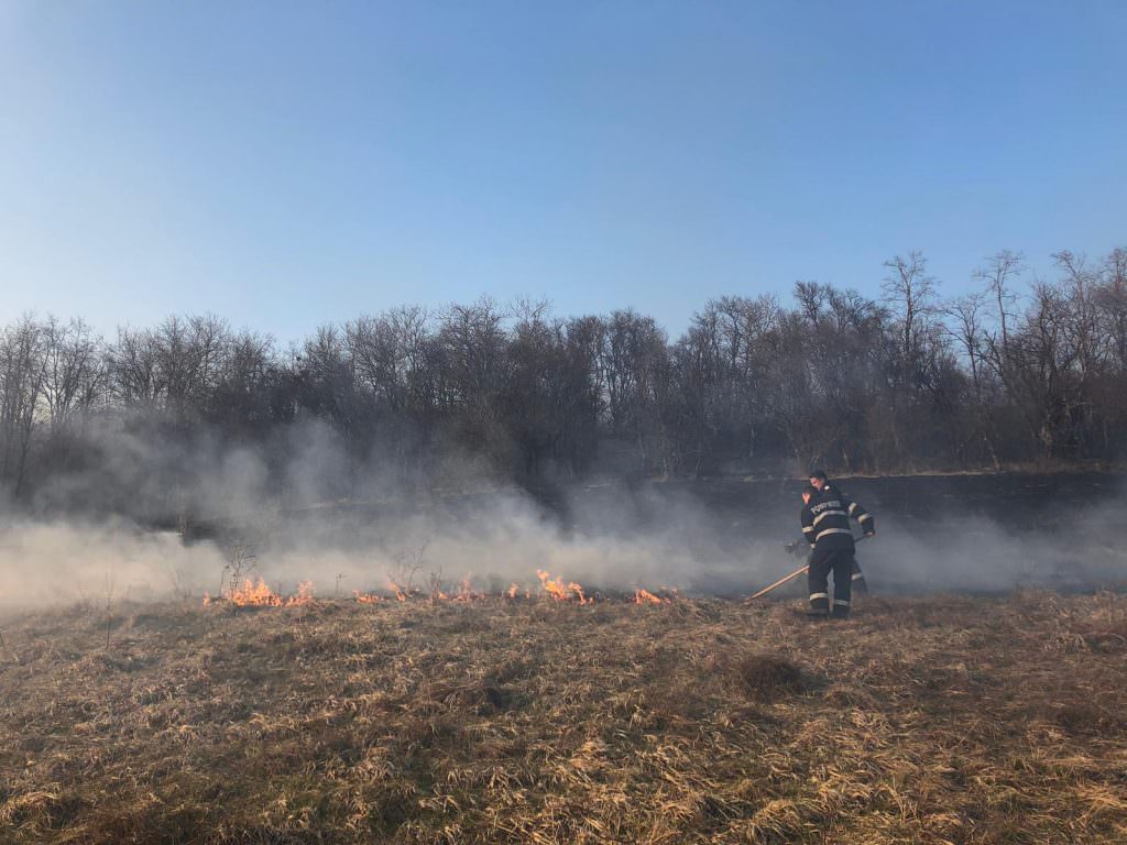 foto incendii devastatoare în județul sibiu - peste cinci hectare de pădure făcute scrum