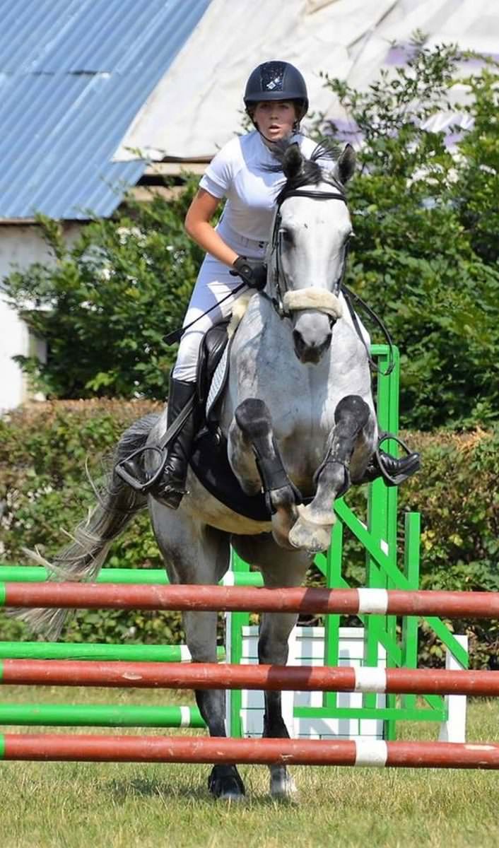 foto prietenie adevărată – sibianca miruna și calul aramis, de nedespărțit – vrea să îl ia cu ea în olanda