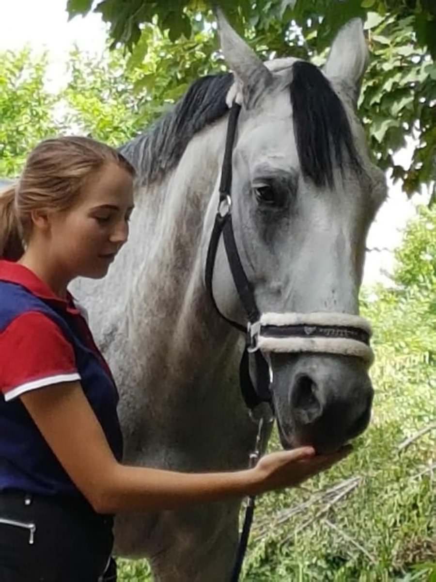 foto prietenie adevărată – sibianca miruna și calul aramis, de nedespărțit – vrea să îl ia cu ea în olanda