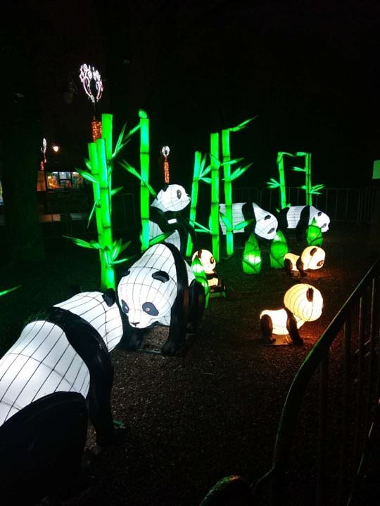 foto eveniment inedit - muzeul din dumbrava luminat duminică la festivalul lanternelor