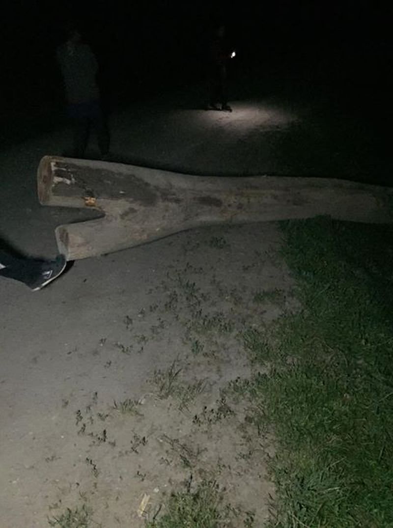 foto turiști la un pas de tragedie pe valea moașei - din cauza unui hoț de lemne