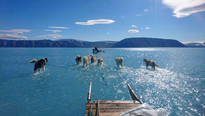 fotografia care face înconjurul planetei - fenomen îngrijorător în groenlanda