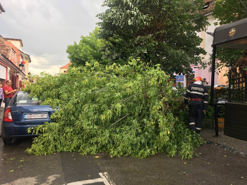 foto un copac a căzut peste o mașină la mediaș