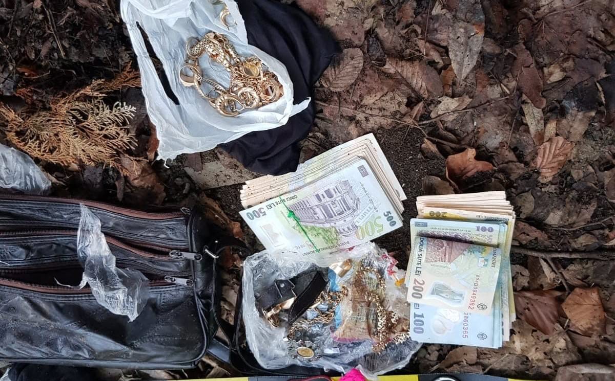 foto hoațe prinse pe valea oltului - furt de peste 10.000 de euro din casa unui bărbat