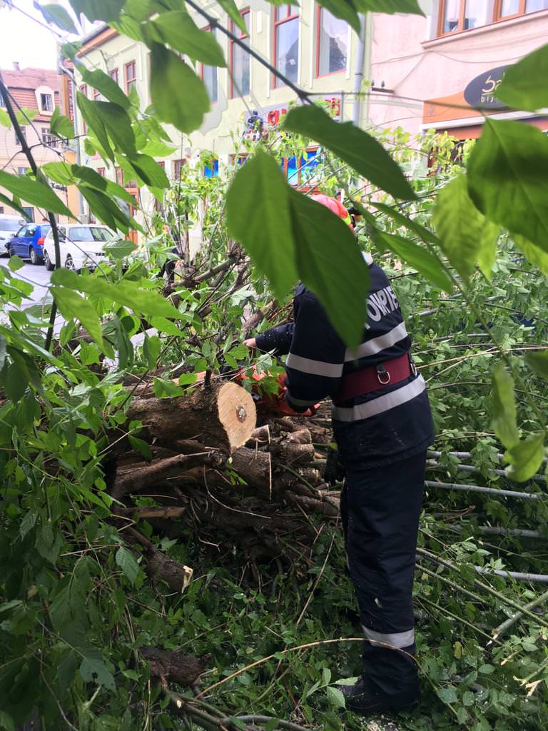 foto un copac a căzut peste o mașină la mediaș