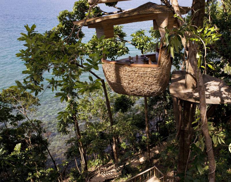 foto restaurant unic în lume – este construit într-un eucalipt