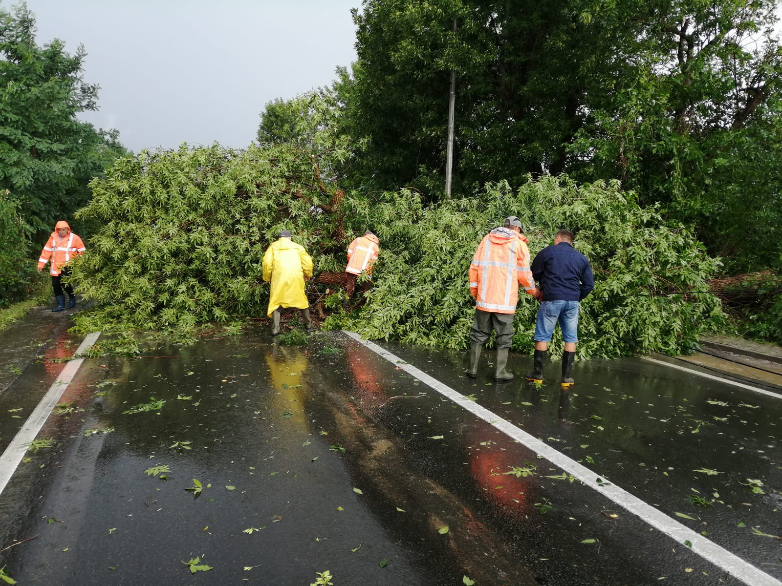 update foto copac căzut pe stradă la tălmaciu - trafic blocat pe dn7