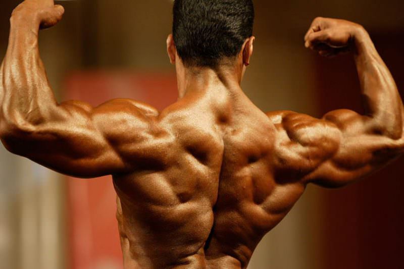 creșterea masei musculare rapide nu e doar mers la sală