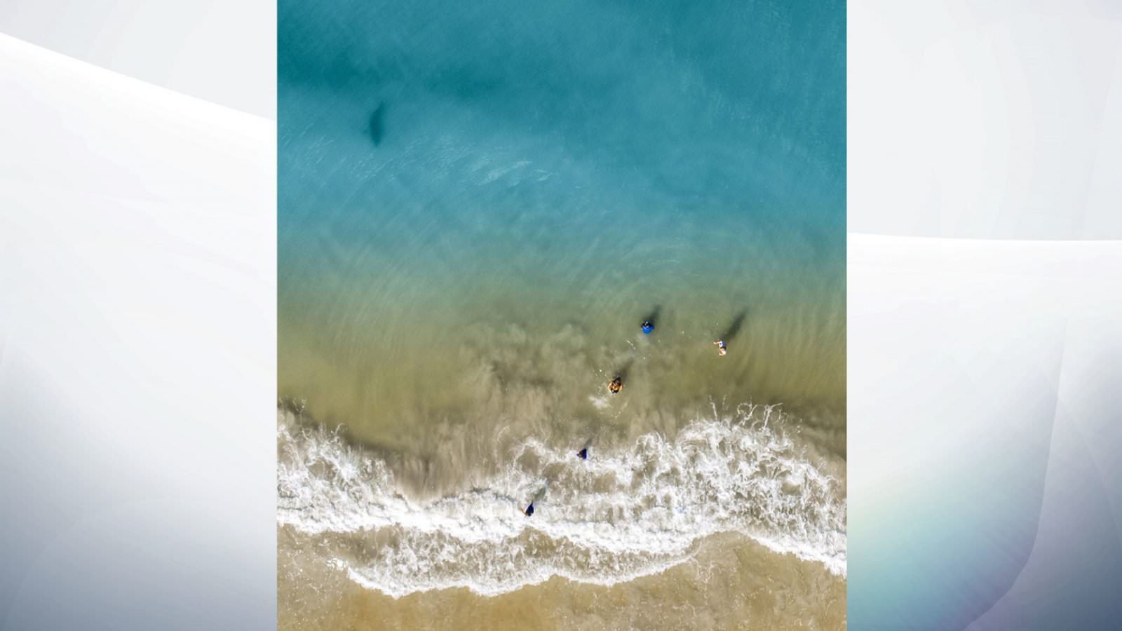 foto - poza teribilă făcută de un fotograf - un rechin înoată la câțiva metri de copiii săi