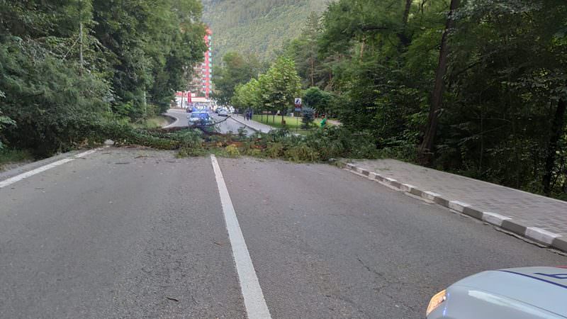 foto trafic blocat pe valea oltului din cauza unor copaci căzuți