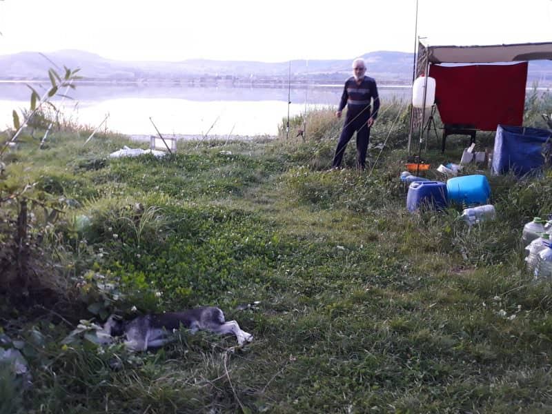 foto - un pescar a ucis un cățel pe lacul avrig - avrigenii se mobilizează să îl alunge cu tot cu rulotă