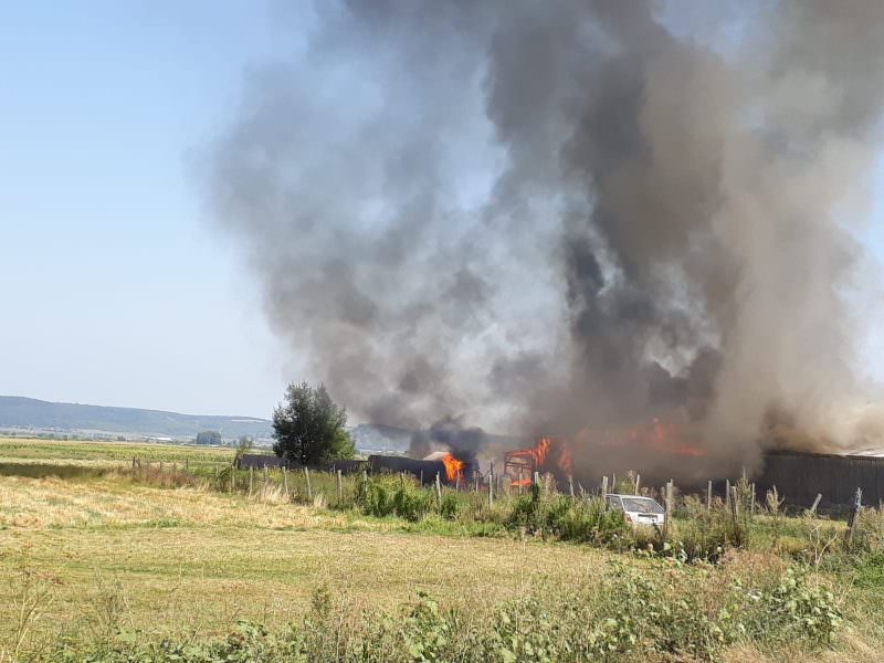 foto incendiul de la gura râului - au murit 19 oi