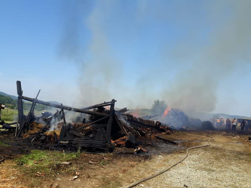 foto incendiul de la gura râului - au murit 19 oi