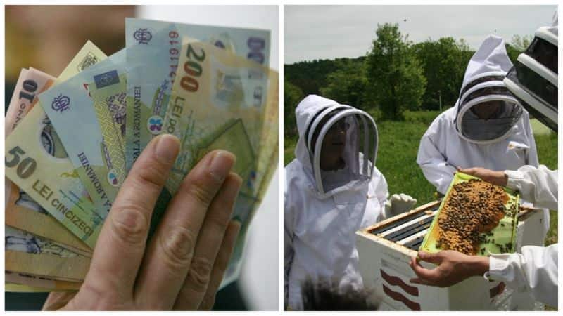 apicultorii sibieni, despăgubiți pentru pierderile din primăvara lui 2019