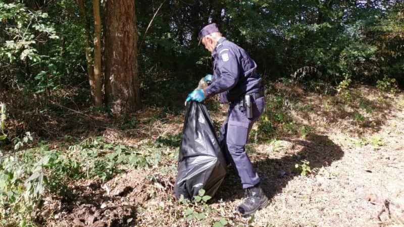 ecologizare în pădurea dumbrava - jandarmii sibieni au strâns 150 de saci de gunoi
