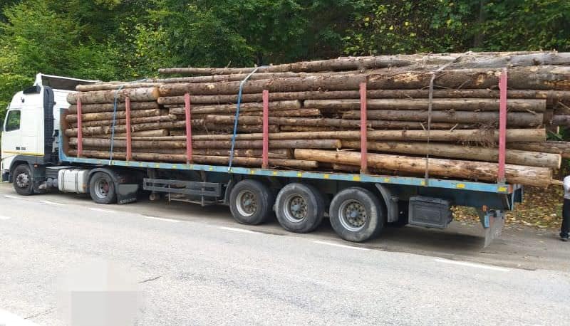 lemne furate cu camionul din agnita – amendă usturătoare pentru hoț