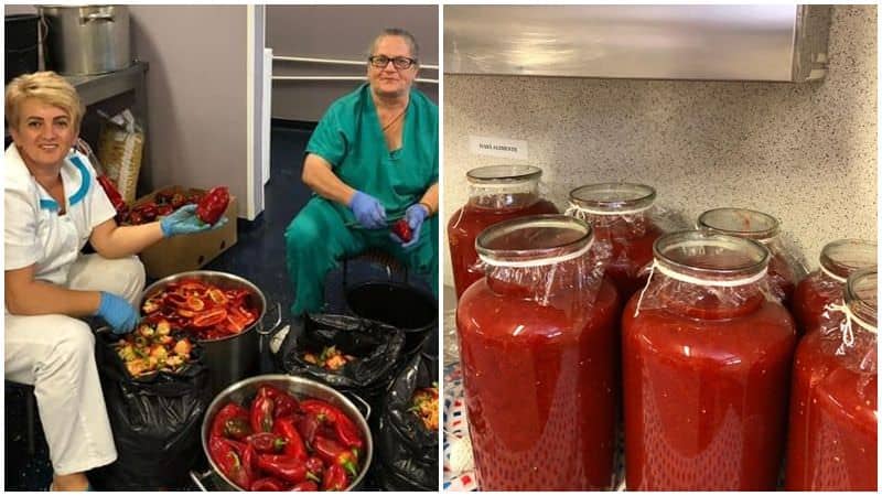 foto spitalul de pneumoftiziologie se pregătește de iarnă – bucătăresele au pus legume la conservat