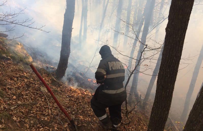 video foto - incendiul de pădure din cisnădie s-a reaprins - zeci de pompieri la fața locului