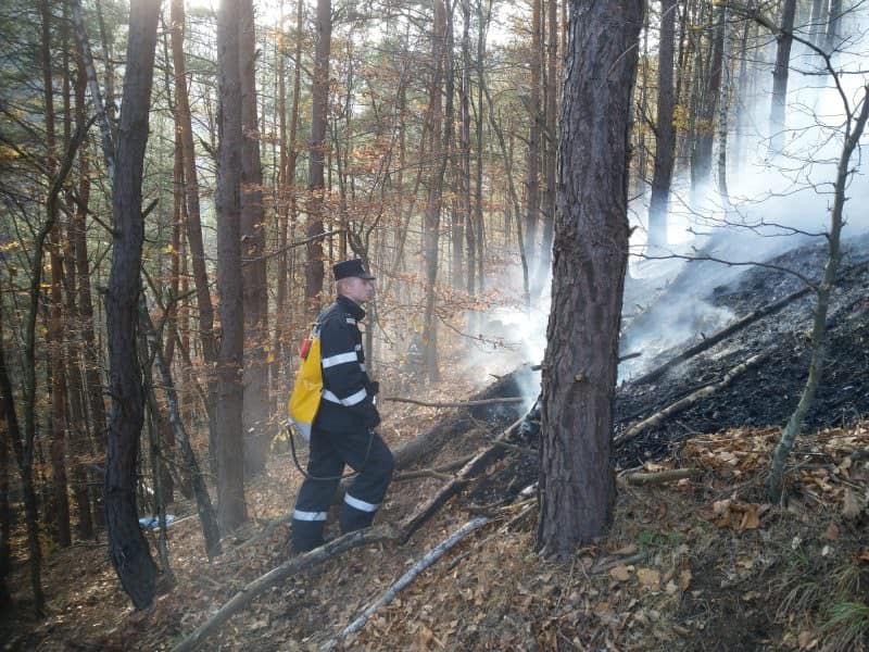 foto pompierii sibieni în alertă - s-a reaprins incendiul de pădure de la măgura