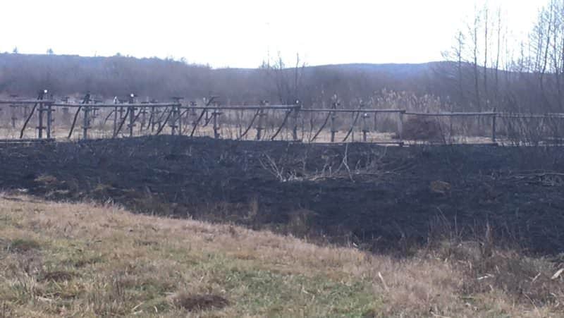 foto incendiu de vegetație în localitatea vale