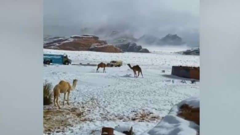 foto video a nins în deșert. fenomen extrem în arabia saudită