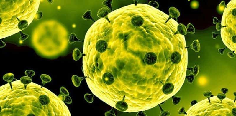 virusul devastator din china - cum se manifestă coronavirusul