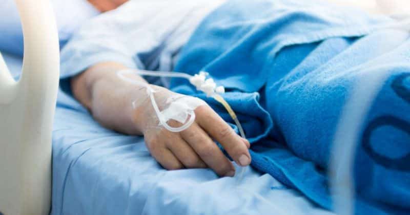 sibianca din vurpăr moartă cu gripă - familia cere explicaţii doctorilor din spital care au lăsat-o să plece acasă