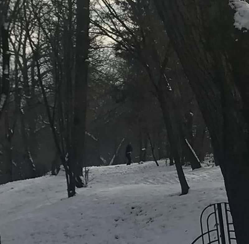 foto pedofil fotografiat în parcul sub arini - se masturba lângă copii