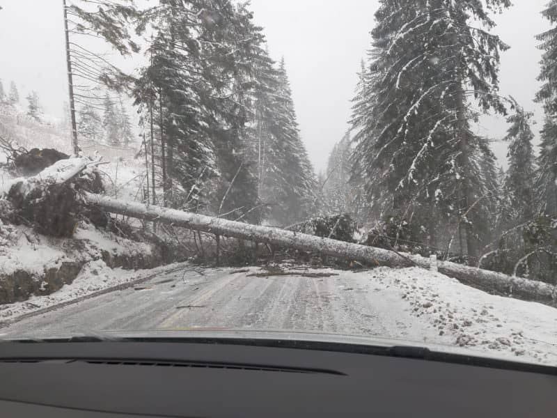 video foto: vremea se dezlănțuie în toată țara - drumuri blocate, localități fără curent și școli închise