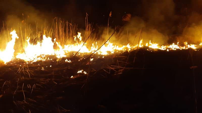 foto incendiu la săliște - au ars două hectare de vegetație uscată