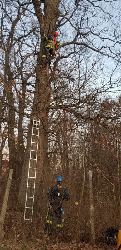 FOTO Pompierii sibieni, intervenție în parcul Sub Arini