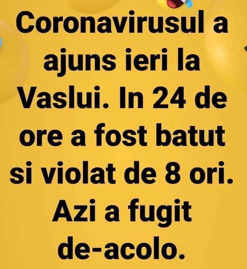 haz de necaz - cealaltă față a coronavirusului - meme-uri si glume