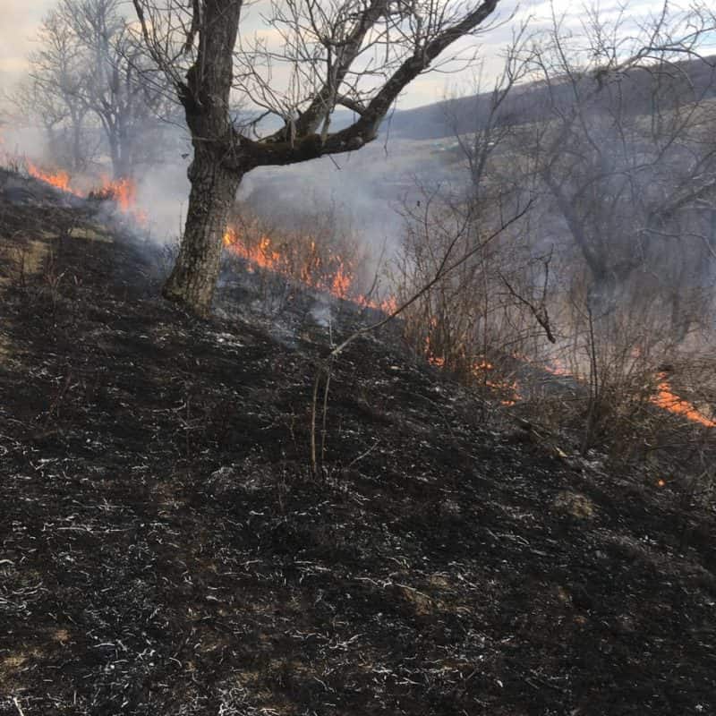 foto: pompierii sibieni au intervenit vineri la trei incendii de vegetație în județ