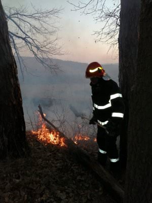 foto incendiile de vegetație le dau bătăi de cap pompierilor - au stins zece în ultimele 24 de ore