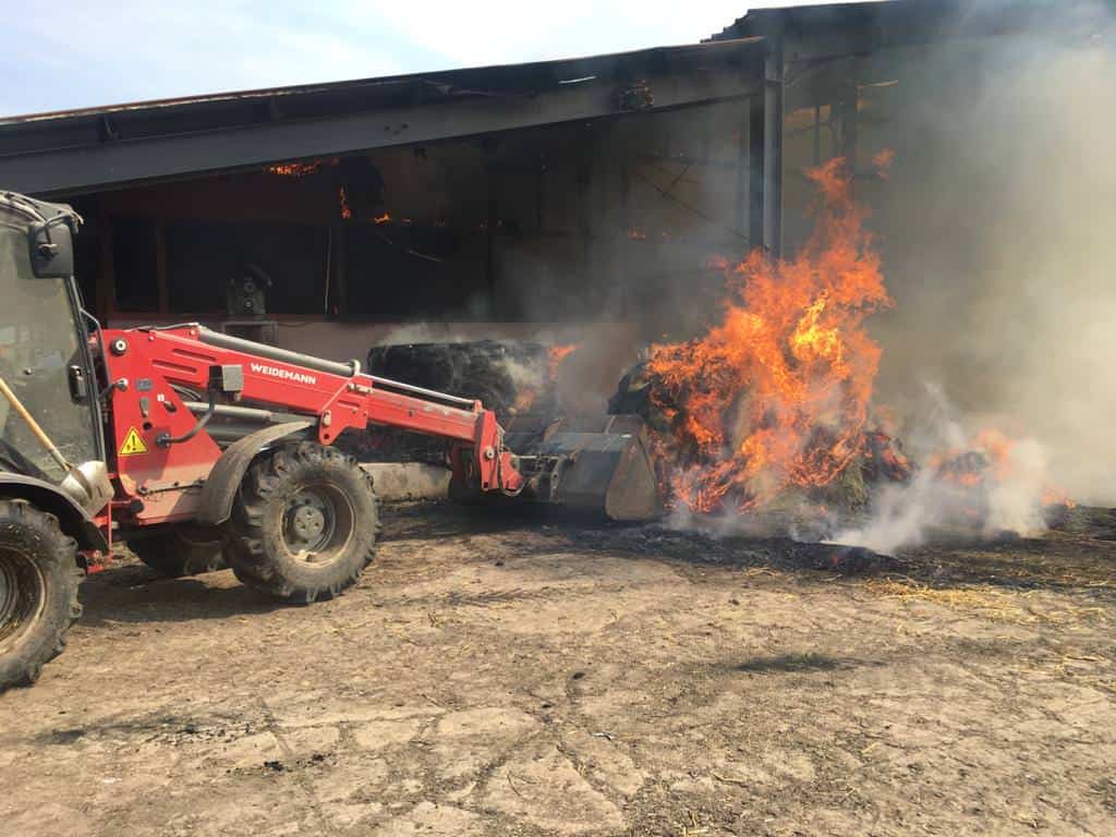 foto: incendiu puternic la o fermă din moșna - animalele au fost salvate