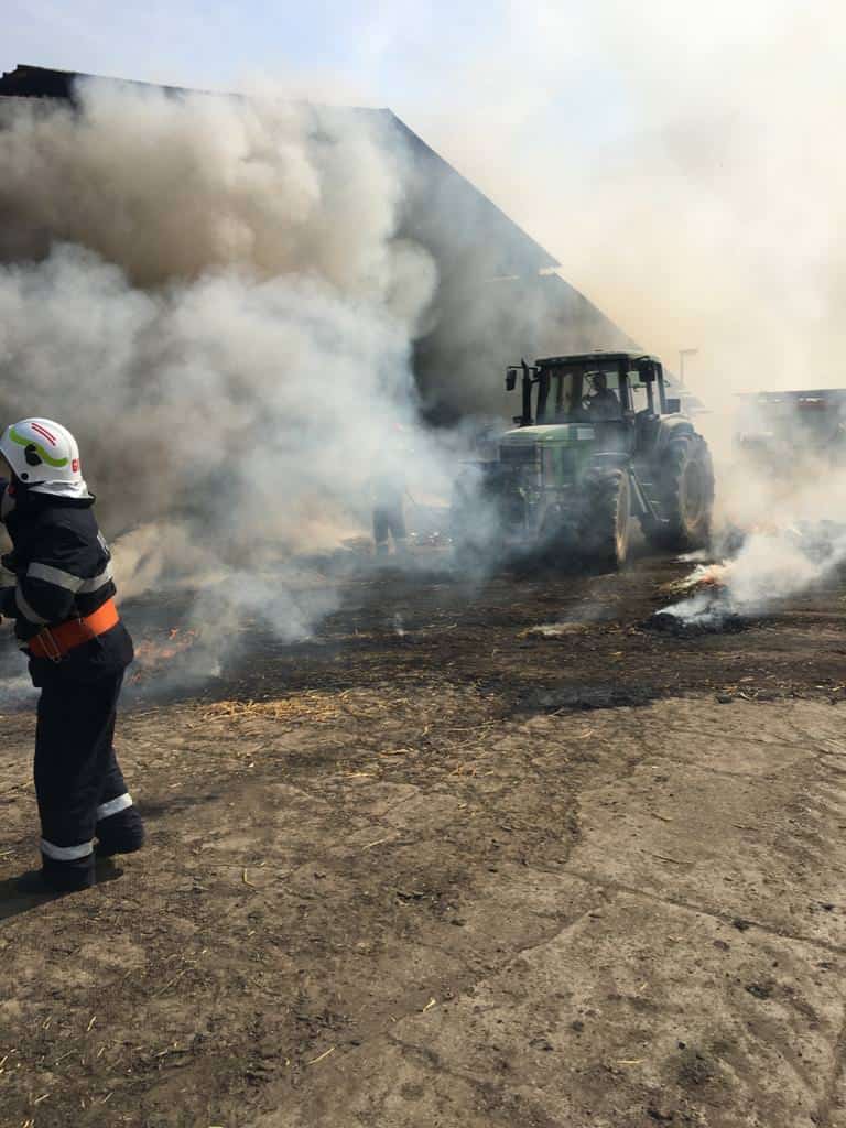 foto: incendiu puternic la o fermă din moșna - animalele au fost salvate