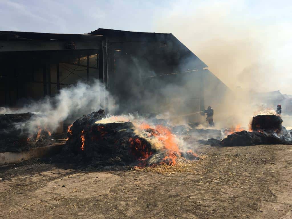 foto: incendiu puternic la o fermă din moșna - animalele au fost salvate