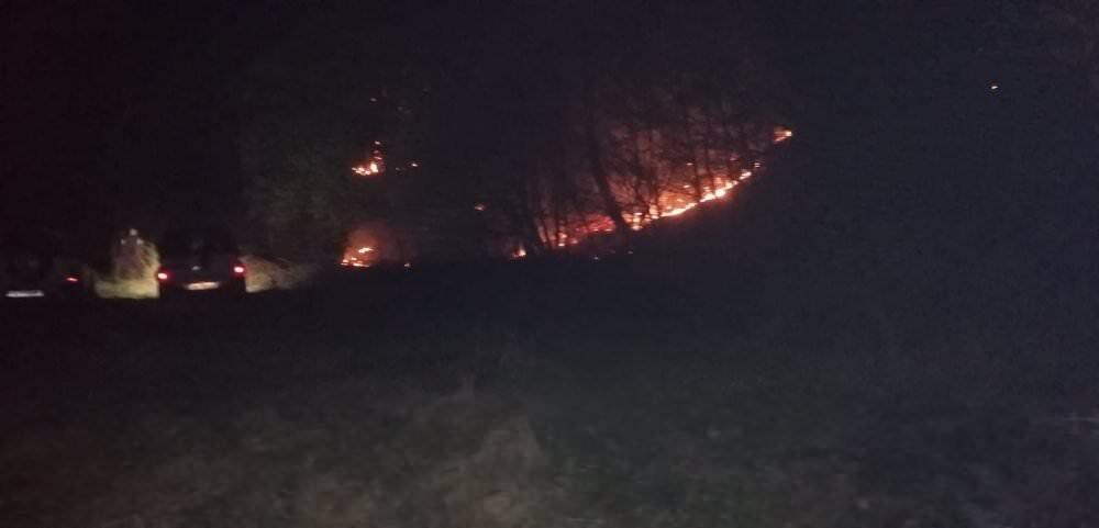 FOTO Arde pădurea la Mălâncrav - Pompierii militari încearcă să stingă focul