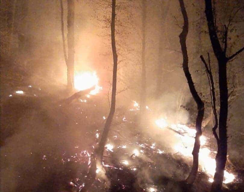 FOTO Arde pădurea la Mălâncrav - Pompierii militari încearcă să stingă focul