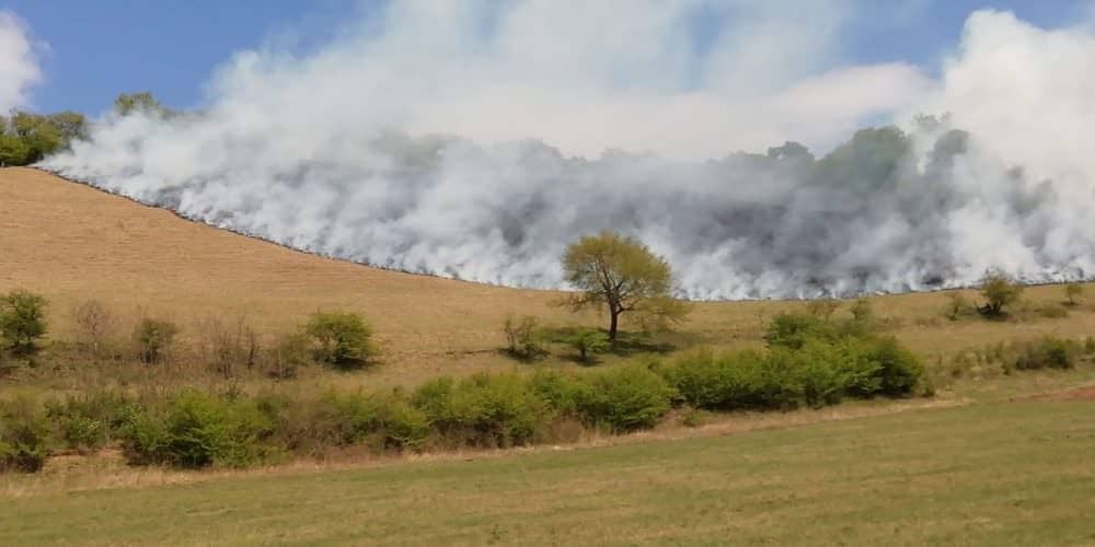 foto incendiu de vegetație la ighișul nou - patru ore s-au luptat pompierii cu flăcările
