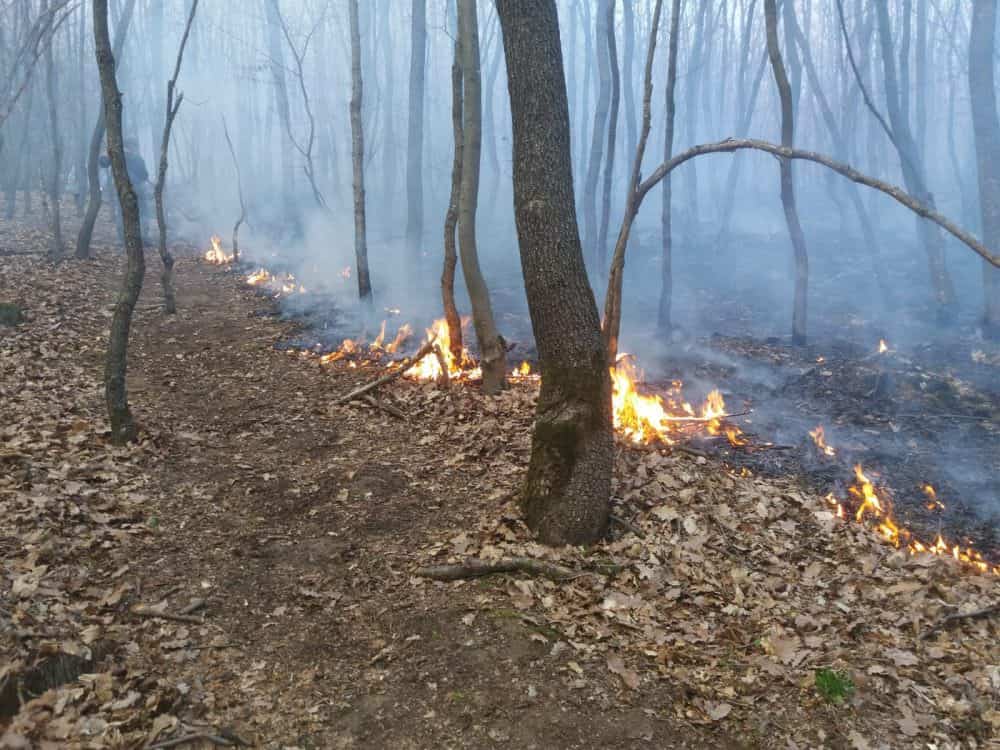 foto: pompierii s-au luptat patru ore să stingă un incendiu la agnita și alțâna - au ars opt hectare de vegetație