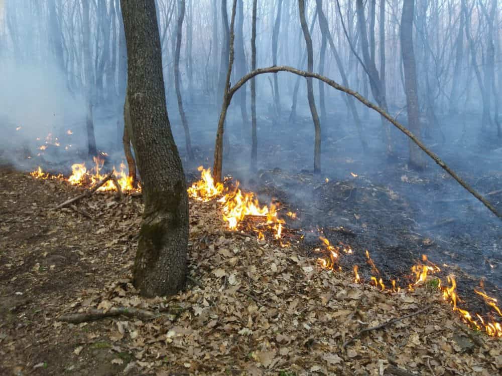 foto: pompierii s-au luptat patru ore să stingă un incendiu la agnita și alțâna - au ars opt hectare de vegetație